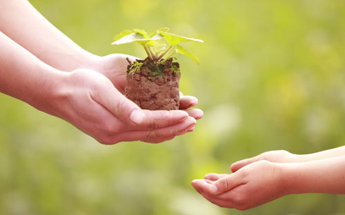 khoi nghiep startup biet on