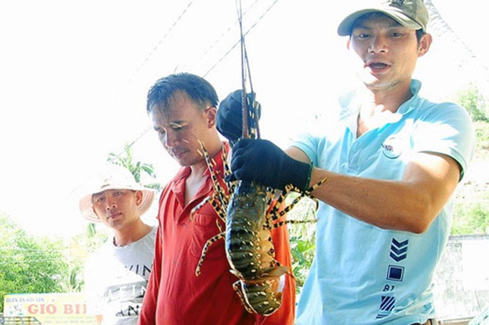 Tuyệt kỹ sale từ anh bán tôm: Luôn tặng thêm hàng cho khách sau khi chốt đơn và bớt giá lẻ khi thanh toán